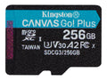 256GB microSDXC Canvas Go Plus 170R A2 U3 V30 Single Pack w/o ADP