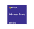 Dell Microsoft_WS_2022_5CALs_User
