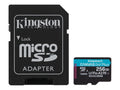 256GB microSDXC Canvas Go Plus 170R A2 U3 V30 Card + ADP